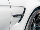 RW Carbon BMW F80 F82 F83 M3 M4 Gloss Black Fender Trim - bmwf8x005 RW Carbon BMW F80 F82 F83 M3 M4 Gloss Black Fender Trim - bmwf8x005