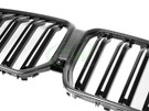 RW Carbon BMW G06 X6 F96 X6M Carbon Fiber Grille Replacement - bmwg06006