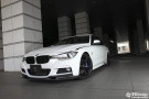 3D Design F30 / F31 3-Series M-Sport Carbon Front Lip - 3101-23031