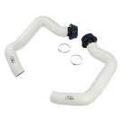 Project Gamma BMW M8 | M5 (F90/F91/F92/F93) Intakes and Filters Project Gamma BMW M8 | M5 (F90/F91/F92/F93) Intakes and Filters