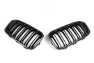NWCarbon Haus F20 LCI Double Slat Dry Carbon Grills - NWCT-280