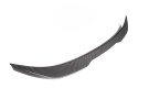 NWCarbon Haus F30 NW Style Dry Carbon Spoiler - NWCT-062