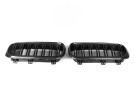 NWCarbon Haus F15/F16 X5 Double Slat Dry Carbon Grill - NWCT-276