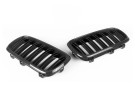 NWCarbon Haus F15/F16 X5 Double Slat Dry Carbon Grill - NWCT-276