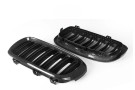 NWCarbon Haus F15/F16 X5 Double Slat Dry Carbon Grill - NWCT-276