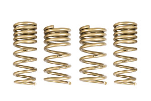 Ark Performance 2009-2020 Nissan 370Z GT-S Lowering Springs LS0901-0209