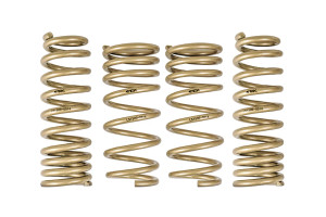 Ark Performance 2014-2020 Lexus IS200t | IS250 | IS300 | IS350 RWD GT-S Lowering Springs LS1500-0014