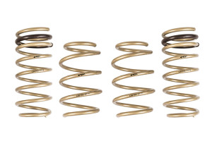 Ark Performance 2012-2017 Hyundai Veloster GT-S Lowering Springs LS0703-0112