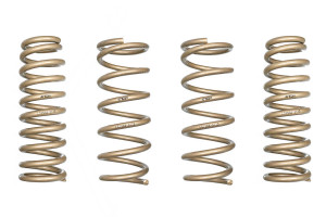 Ark Performance 2013-2020 Lexus GS350 RWD GT-S Lowering Springs LS1504-0113