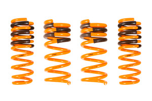 Ark Performance 2008-2013 Infiniti G37 Coupe RWD GT-F Lowering Springs LF1102-0103