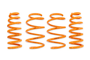 Ark Performance 2022+ Genesis GV60 AWD GT-F Lowering Springs LF1660-0023