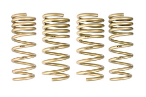 Ark Performance 2003-2008 Nissan 350Z GT-S Lowering Springs LS0900-0300