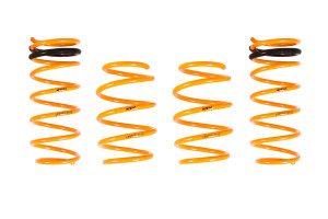 Ark Performance 2012-2018 Hyundai Veloster GT-F Lowering Springs LF0703-0112