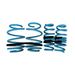 BLOX Racing Lowering Springs - 23+ Civic Type-R / 23+ Integra Type-S bloBXSS-01007-R
