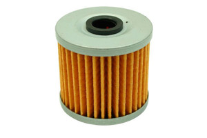 AEM High Volume Fuel Filter Replacement Element for 25-200BK (AEM-25203)