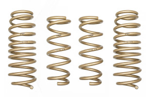 ARK Performance 2017-2021 Infiniti Q60 3.0T RWD GT-S Lowering Springs LS1160-0116