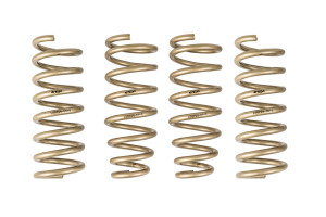 ARK Performance 2009-2013 Hyundai Genesis Sedan GT-S Lowering Springs LS0704-0910