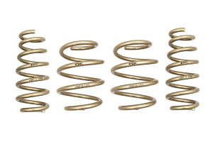 ARK Performance 2019+ Hyundai Veloster N | Turbo GT-S Lowering Springs LS0713-1900