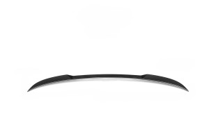 NWCarbon Haus G01 Dry Carbon Spoiler - NWCT-296 NWCarbon Haus G01 Dry Carbon Spoiler - NWCT-296