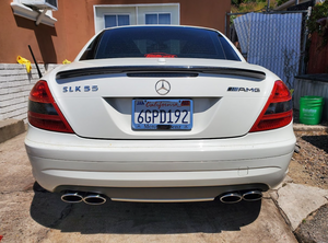 Suvneer R171 SLK Carbon Fiber Front Lip - R171TNKLIP