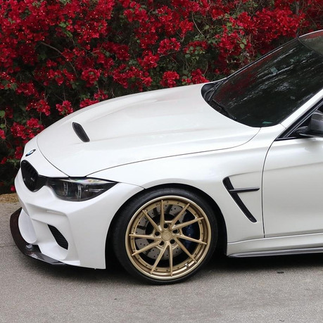 Dinmann CF | BMW F8X | Dinmann CSL FOR OUR THE CSL BUMPER