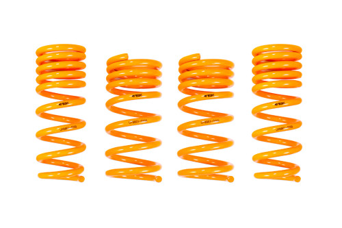 Ark Performance 2009-2020 Nissan 370Z GT-F Lowering Springs LF0901-0209