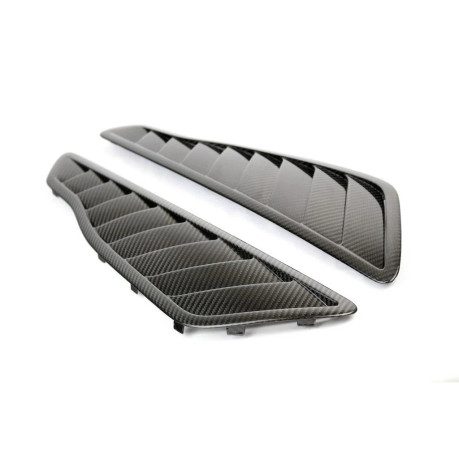 APR Performance Carbon Fiber Mercedes Benz AMG GTR Pro Fender Vents 2020 CF-580052