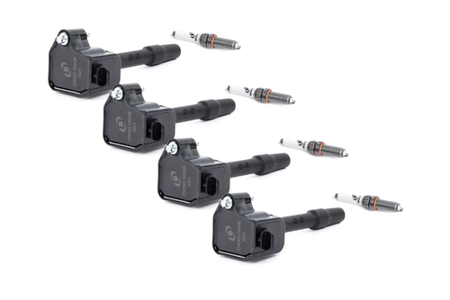 Dinan Ignition Service Kit - 4-Cylinder - Black - D655-0001