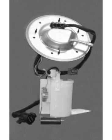 Walbro TANK UNIT ASSEMBLY wal TU229-1 Walbro TANK UNIT ASSEMBLY wal TU229-1
