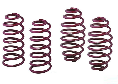 Vogtland Sport Springs for BMW E8x