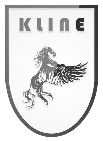 Kline Innovation 200 Cell Downpipes For BMW X6M F86 Kline Innovation 200 Cell Downpipes For BMW X6M F86