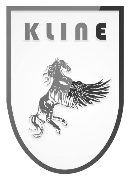 Enhance Performance: Kline Innovation 100 & 200 CELL Downpipes for BMW ...