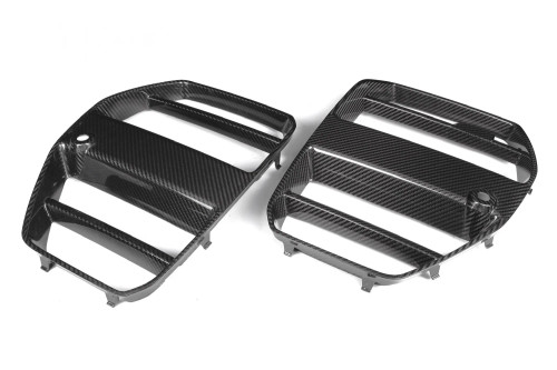 G82 Dry Carbon Fiber Haus Fenders