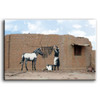 Banksy Canvas Print - Zebra