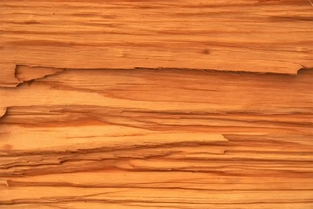 BlackButt Flooring
