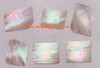 1oz Australian Greenlip abalone blanks mix size 1.5mm