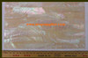 1pc Australian Greenlip abalone laminated sheet 140x240x3mm