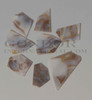 1oz Brown mussel blanks mix size 1mm