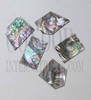 1oz Green abalone blanks mix size select 1.3mm