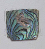 1pc Paua blanks 25-30x25-30x1mm