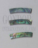 1pc Paua strips curved 5x24x1.3x113mm