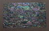 1pc Paua veneer C grade 140x240x0.15mm