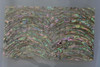 1pc Paua veneer rim 140x240x0.15mm