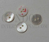 1pc Trochus buttons 2H 16Lx1.8mm
