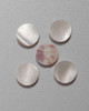 1pc Trochus button blanks G 18Lx2.5mm