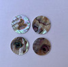 1pc Green abalone discs 25 x 1mm polished 1 side