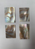 1oz Brown mussel blanks mix size large select 1.3mm