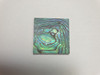 1pc Paua blanks B grade 25x25x1.5mm