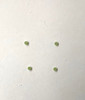 1pc Arizona Jade CH2D2 dots 2 x 1.3mm