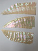 Awabi shell feathers 32mm (1.26") width x 70 - 110mm (2.75 - 4.33") length x 0.15mm (0.006") thickness - thinly sliced solid shell pcs. Cut along the curved part of shell they can yield larger pcs then standard solid shell blanks. Ideal for shallow inlay, overlay, fishing lure manufacture and other decorative purposes. Select quality A grade.